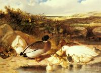 Herring, John Frederick Jr - Mallard Ducks and Ducklings on a River Bank
